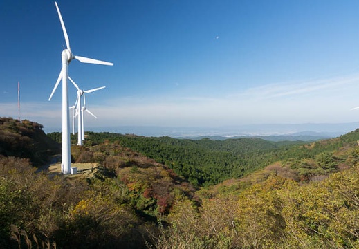201211040853-DSC00619.jpg