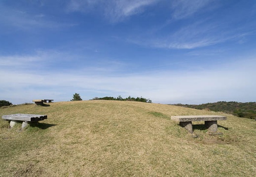 201211041124-DSC05998N.jpg