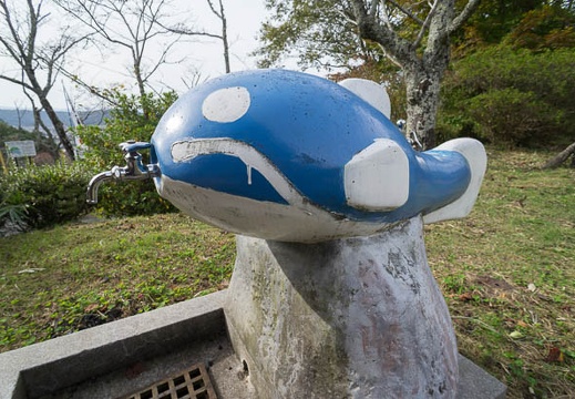 201211041347-DSC06115N.jpg