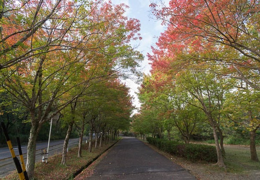 201211050953-DSC06212N.jpg