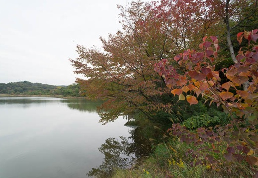 201211051043-DSC06234N.jpg