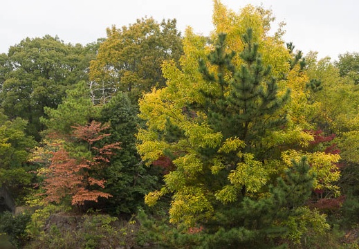201211051057-DSC01275.jpg
