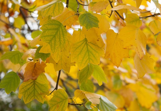 201211051134-DSC01335.jpg