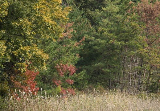 201211051139-DSC01344.jpg