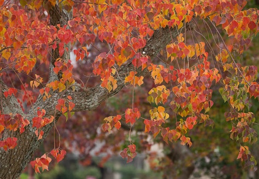 201211090859-DSC01445.jpg