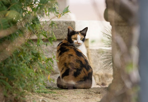 201211090948-DSC01484.jpg