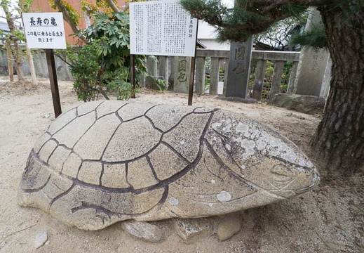 201211090950-DSC06352N.jpg