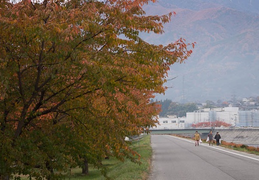 201211110815-DSC02062.jpg