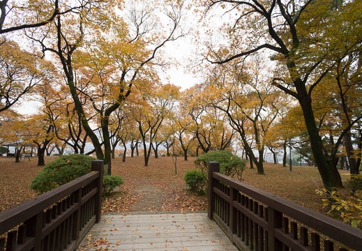 201211110856-DSC06683N.jpg