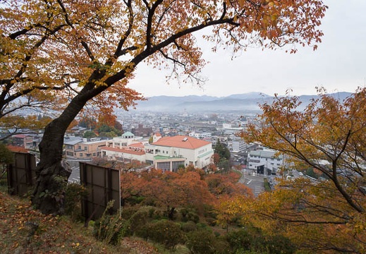 201211110900-DSC06691N.jpg