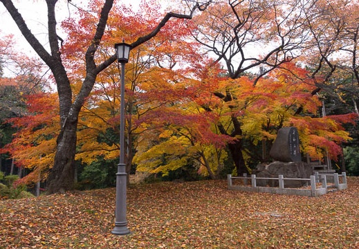 201211110934-DSC02170.jpg