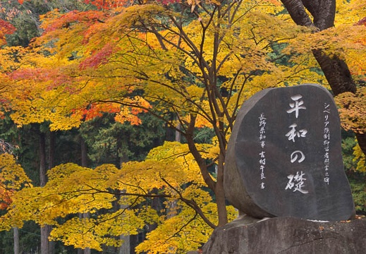 201211111002-DSC02235.jpg
