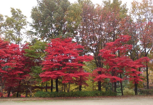 20121111103048-SO-04D.jpg