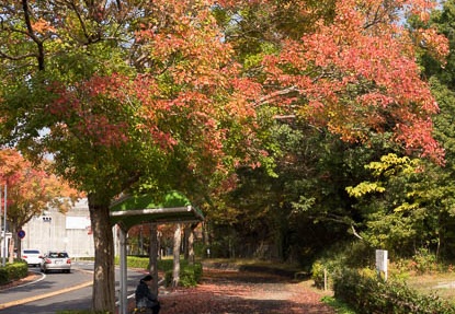 201211121104-DSC02544.jpg