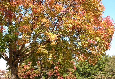 20121112111414-SO-04D.jpg