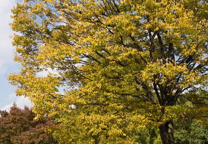 201211121130-DSC02594.jpg