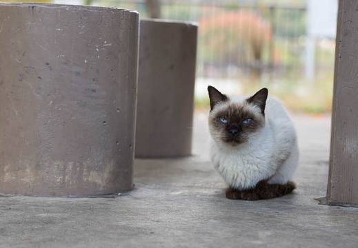 201211121138-DSC02617.jpg