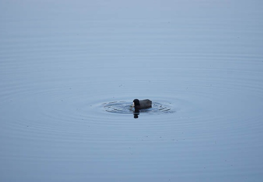 201211121150-DSC02653.jpg