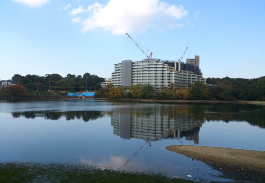 20121112115217-SO-04D.jpg