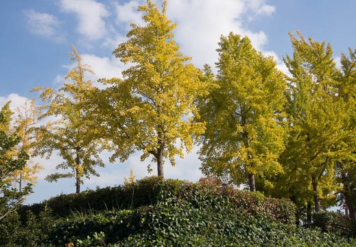 201211121215-DSC02717.jpg