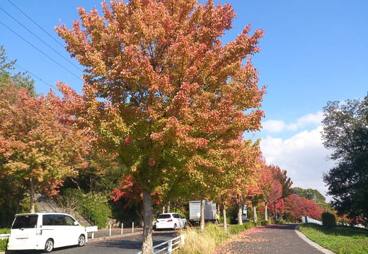 20121112122645-SO-04D.jpg