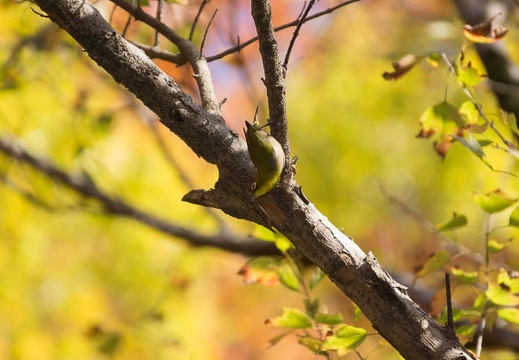 201211121240-DSC02777.jpg
