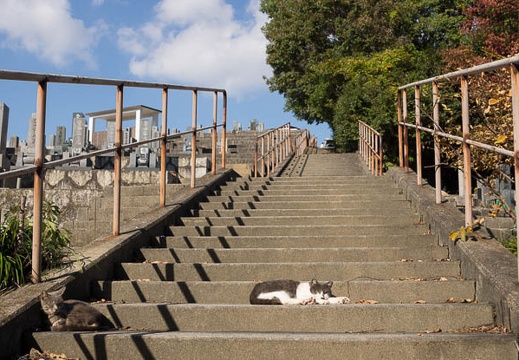 201211121320-DSC02859.jpg