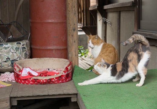 201211131030-DSC03059.jpg
