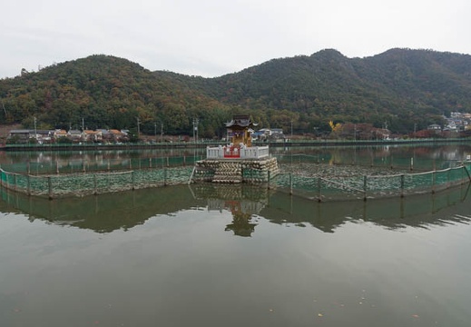 201211131037-DSC03075.jpg
