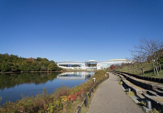 201211161339-DSC06912N.jpg