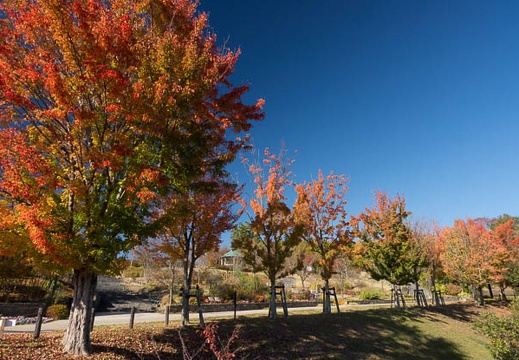 201211161347-DSC03709.jpg