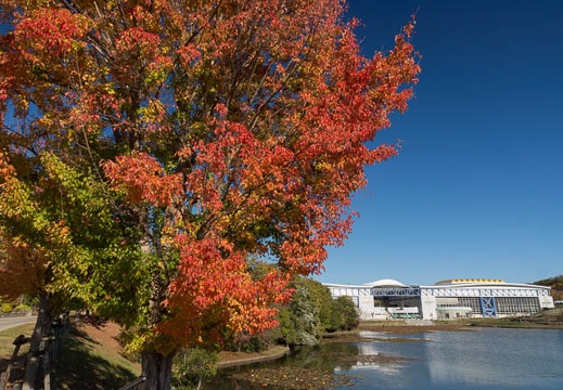 201211161349-DSC03716.jpg