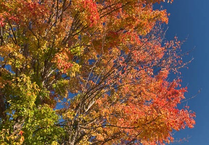 201211161350-DSC03719.jpg