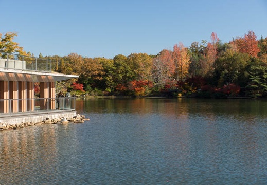 201211161402-DSC03747.jpg