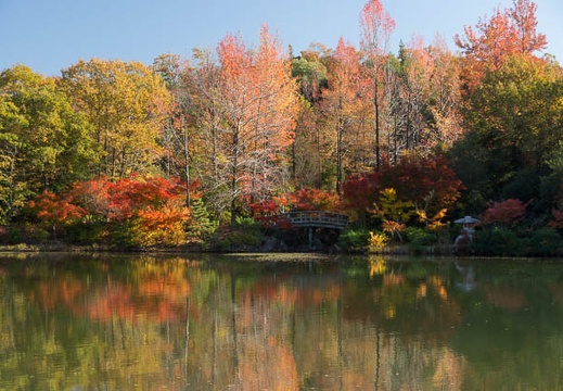 11.16 愛・地球博記念公園