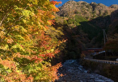 201211180800-DSC04058.jpg