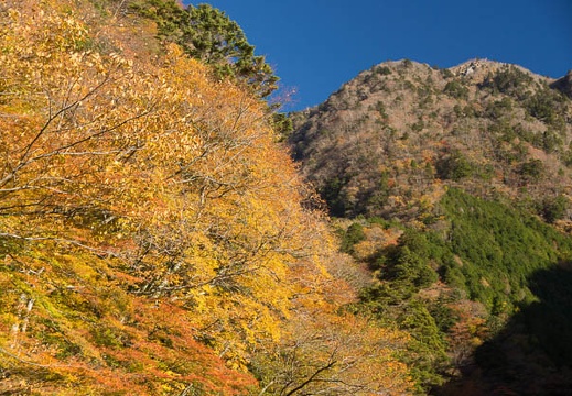 201211180812-DSC04084.jpg