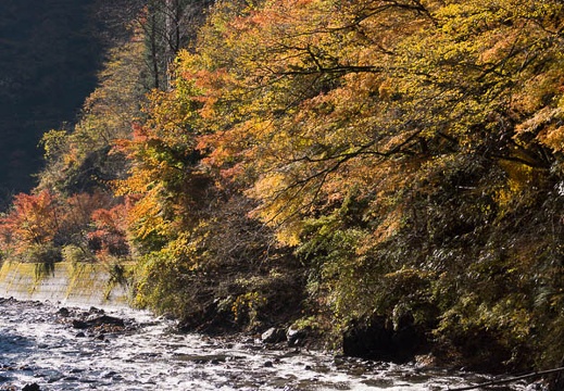 201211180820-DSC04098.jpg