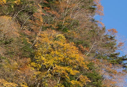 201211180821-DSC04101.jpg