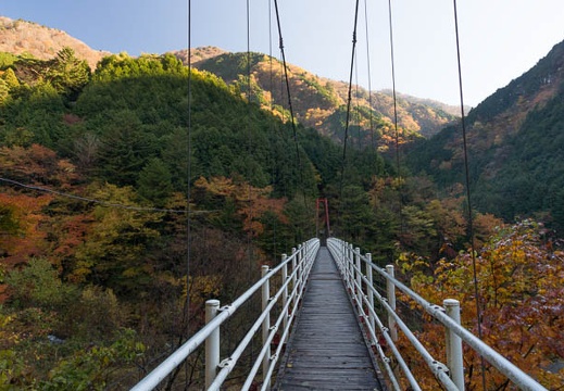 201211180846-DSC04142.jpg