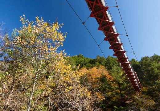 201211180918-DSC04203.jpg