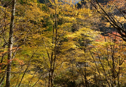 201211180925-DSC04217.jpg
