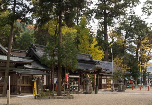 201211190708-DSC04486.jpg