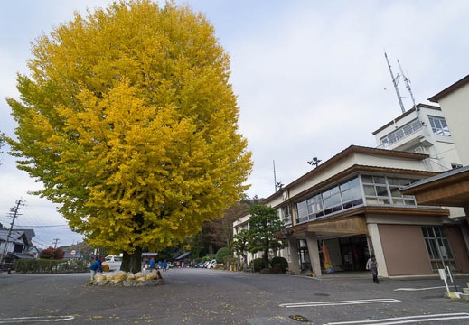 201211190741-DSC07128N.jpg