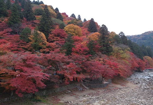 20121119074656-SO-04D.jpg