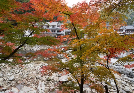 201211190805-DSC07152N.jpg