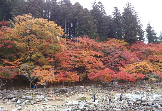 20121119083357-SO-04D.jpg