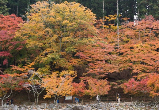 201211190835-DSC04620.jpg