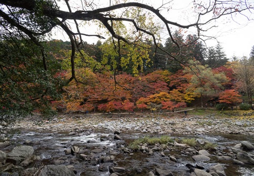 201211190840-DSC07168N.jpg
