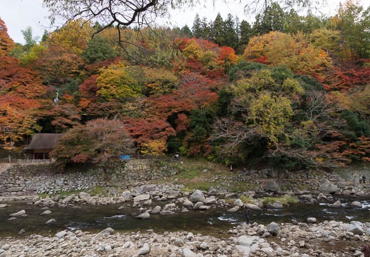 201211190858-DSC04661.jpg